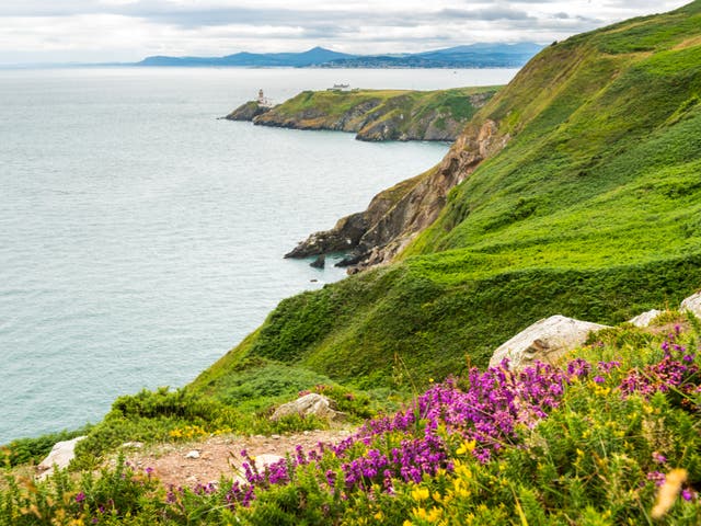 <p>Try seal-spotting in Howth on the northern end of Dublin Bay</p>