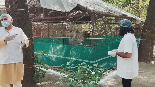 <p>Mohammad Arif, a farmer who rescued the injured bird reunited with sarus crane that was abruptly taken away by officials  </p>