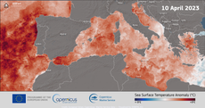 Satellite image reveals how global ocean ocean is hotter than ever