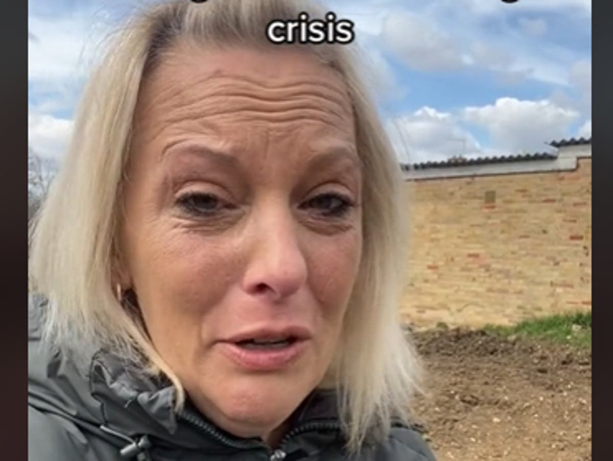 Gardener who grew food for struggling families has allotment ruined in salt attack