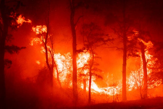 NUEVA JERSEY-INCENDIO FORESTAL