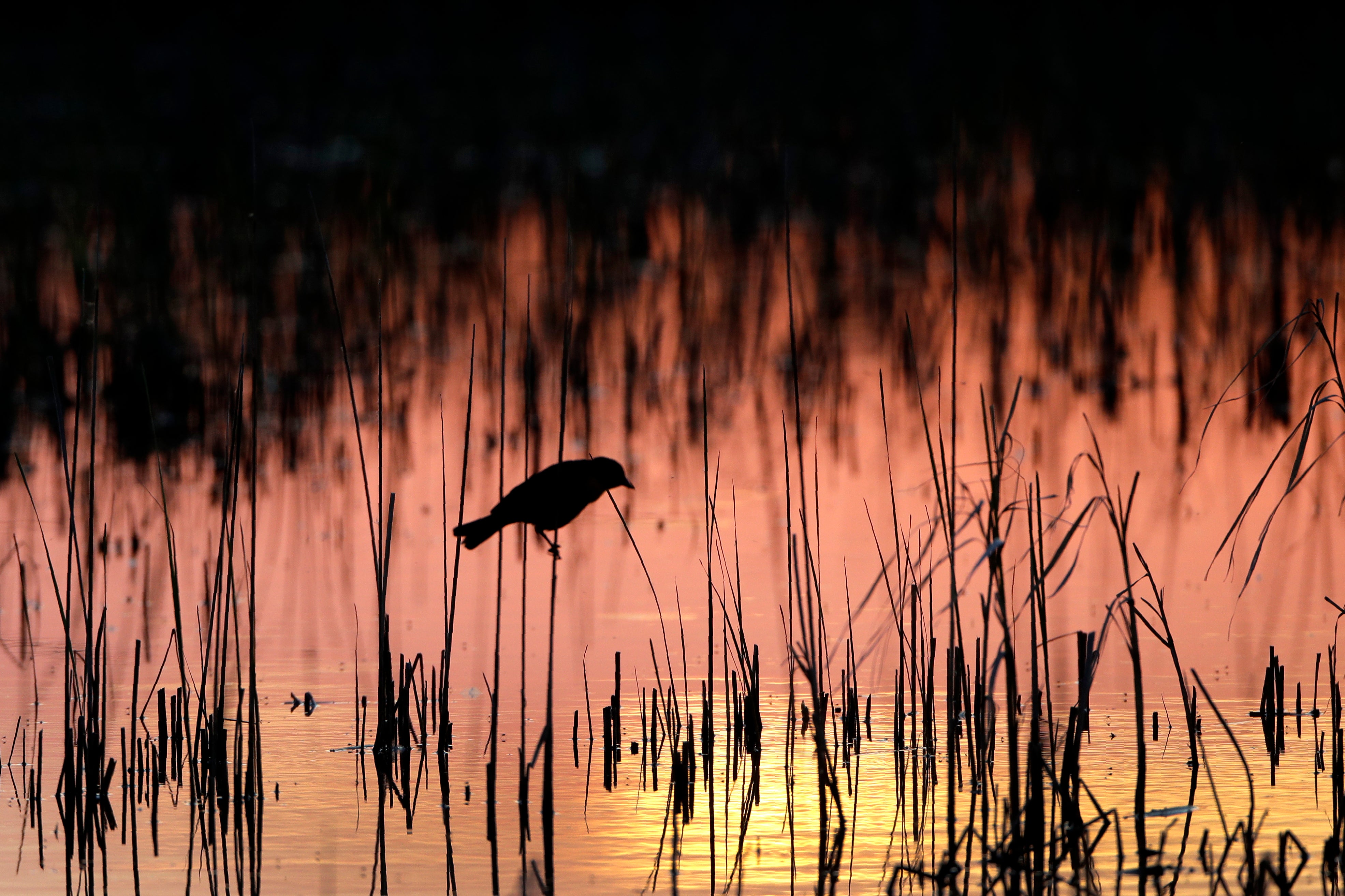 Water Protections Lawsuit