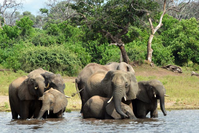 REP-CLI CLIMA-OKAVANGO-TURBERAS