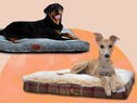 13 best dog beds that will keep four-legged friends cosy and comfortable