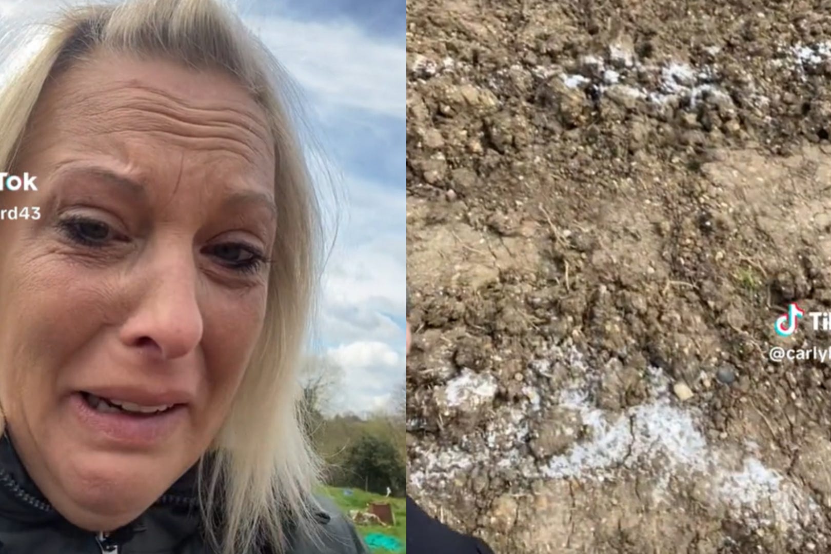 The founder of an allotment that was vandalised with salt has been “overwhelmed by everybody’s generosity” after her GoFundMe sailed past the £165,000 mark (carlyburd43/TikTok/PA)