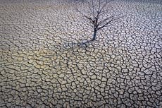 Climate crisis made April heatwave in Spain and Portugal ‘100 times more likely’