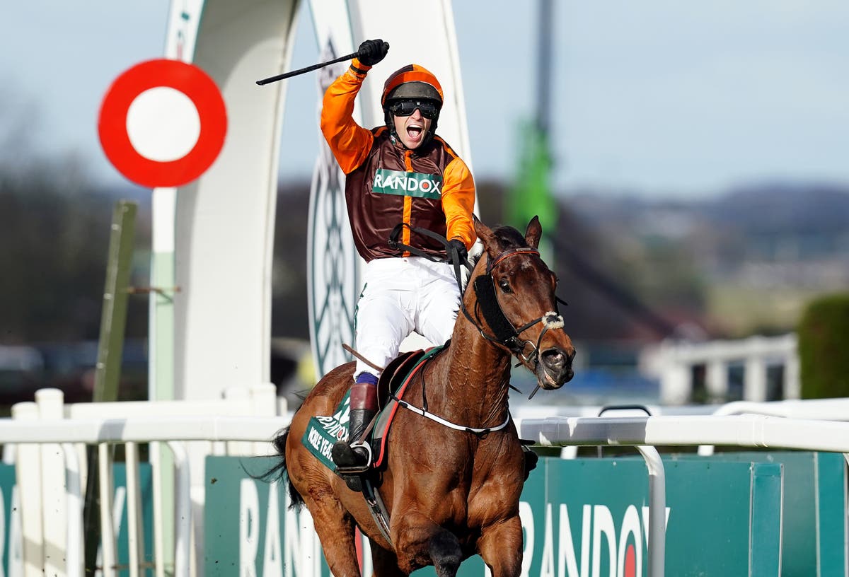 How many horses race in the Grand National?