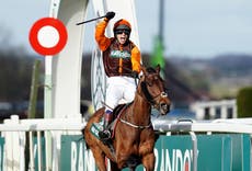 How many horses race in the Grand National?