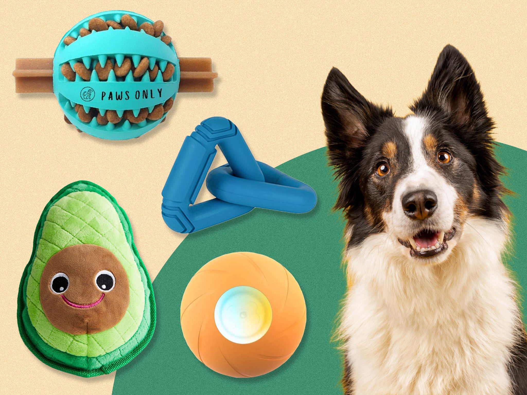 <p>We called on our three furry friends to test these toys </p>