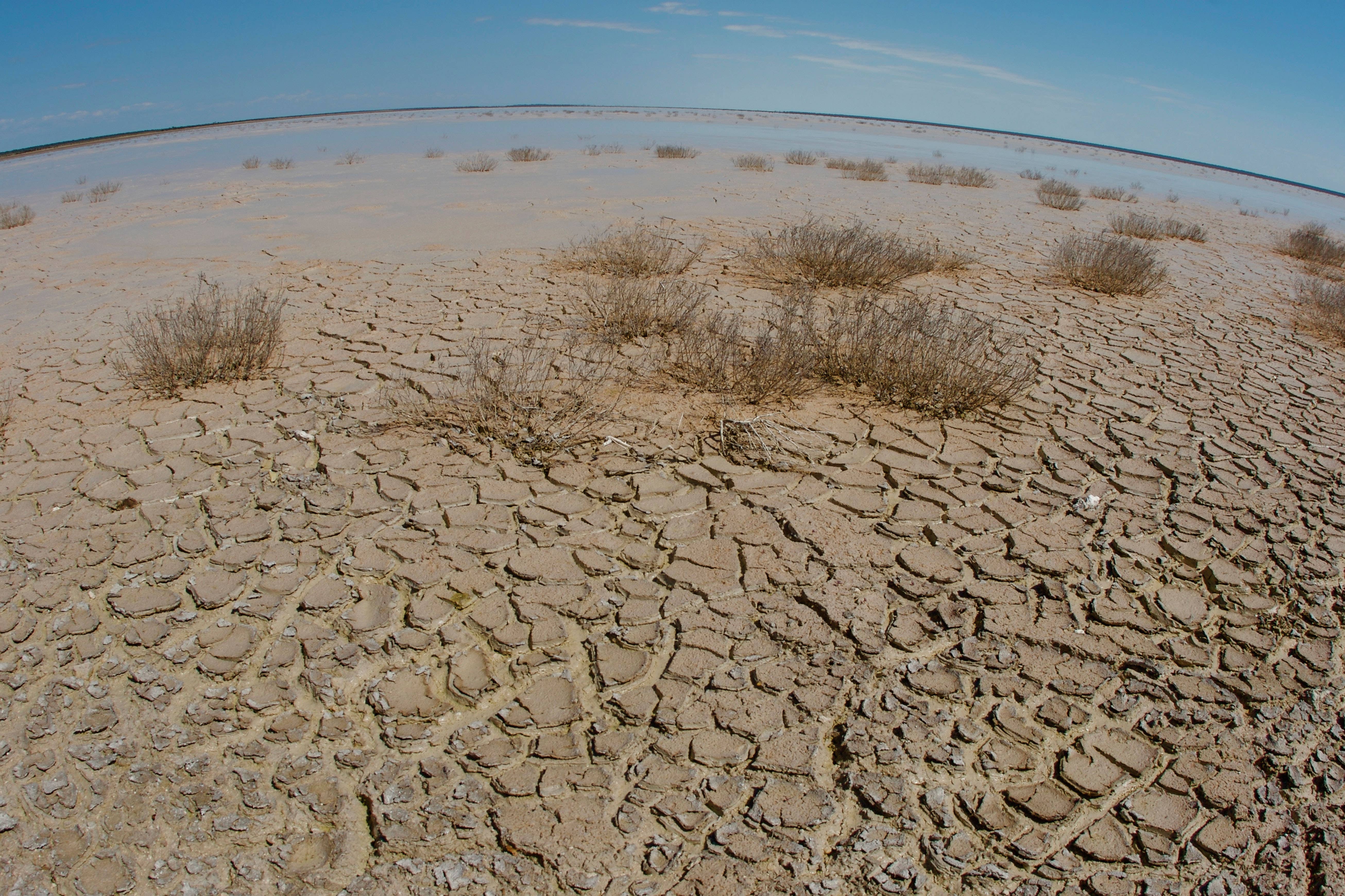 Scientists at the University of Southampton found that droughts which develop rapidly are becoming ‘the new normal’ (Alamy/PA)