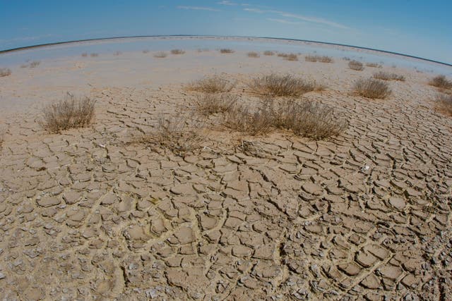 Scientists at the University of Southampton found that droughts which develop rapidly are becoming ‘the new normal’ (Alamy/PA)