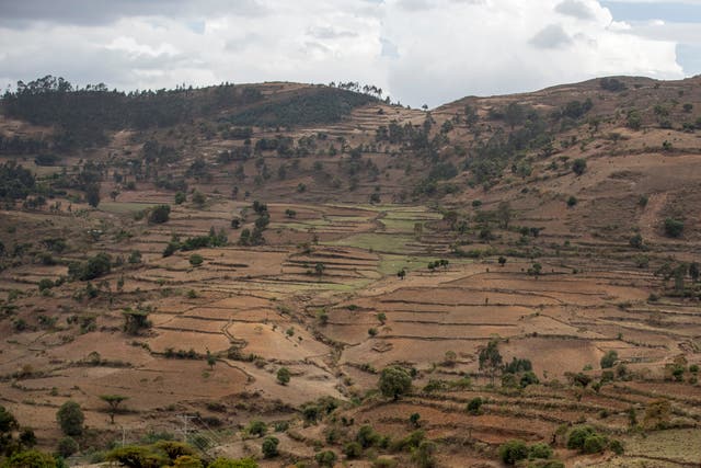 Ethiopia Tigray Forcible Displacement