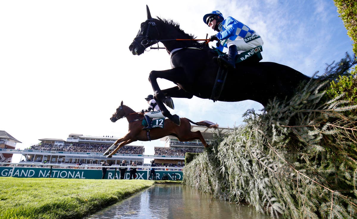 Aintree ‘shames British racing’ with horse death says animal rights organisation Aintree ‘shames British racing’ with horse death says animal rights organisation