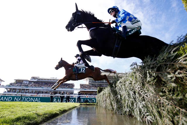 <p>Envoye Special ran loose and fell during the Foxhunters’ Chase </p>
