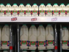 Aldi and Lidl follow Tesco in slashing milk prices as costs fall