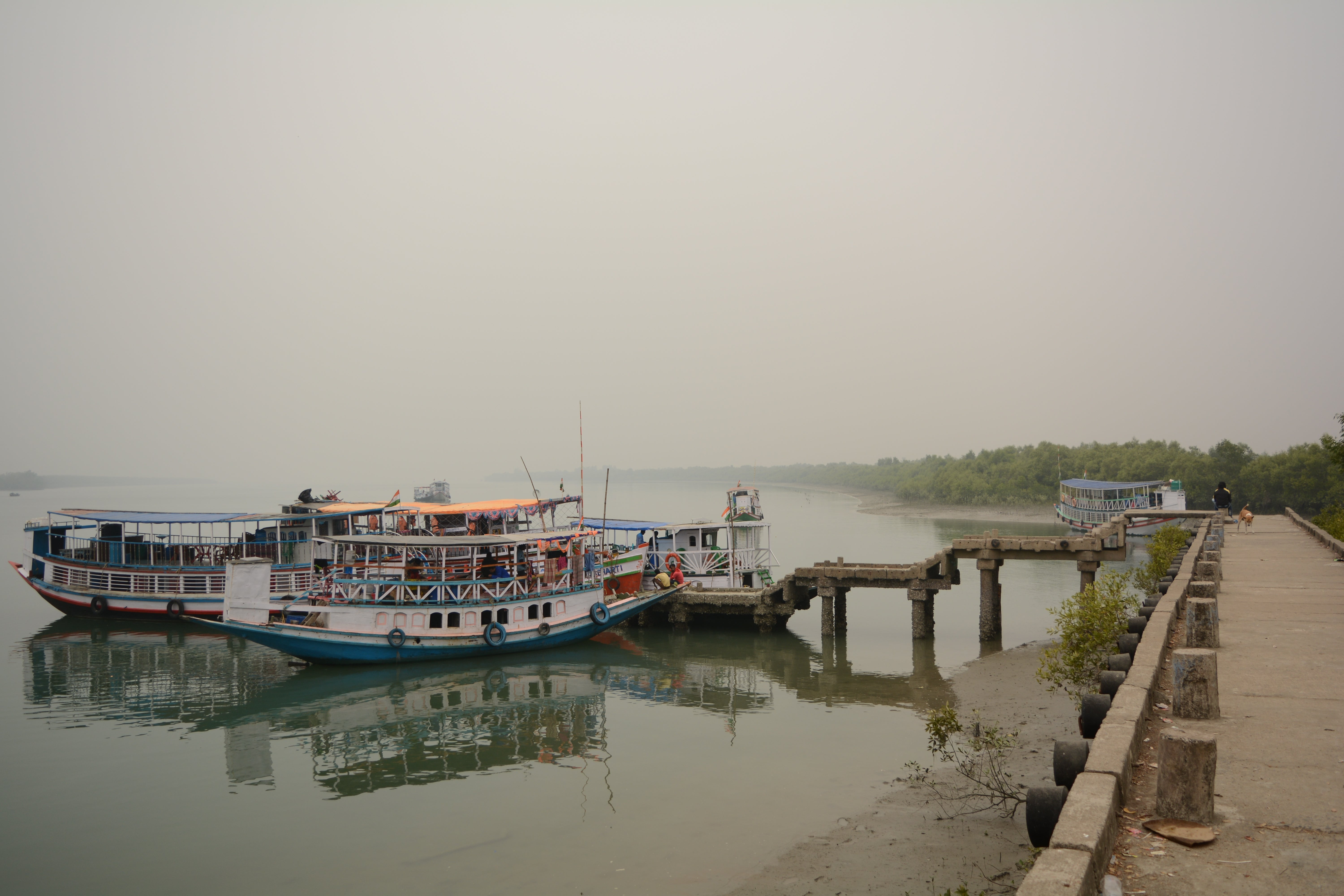 Boats at Sundarbans Wild Animal Park, Jharkhali