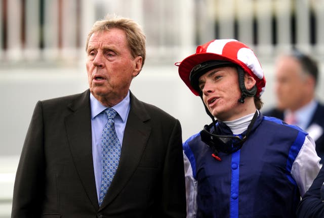 <p>Harry Redknapp has owned a horse for a little over a year now </p>