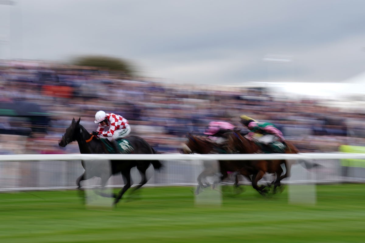 Grand National 2023: Hundreds of animal activists stop the race at Aintree