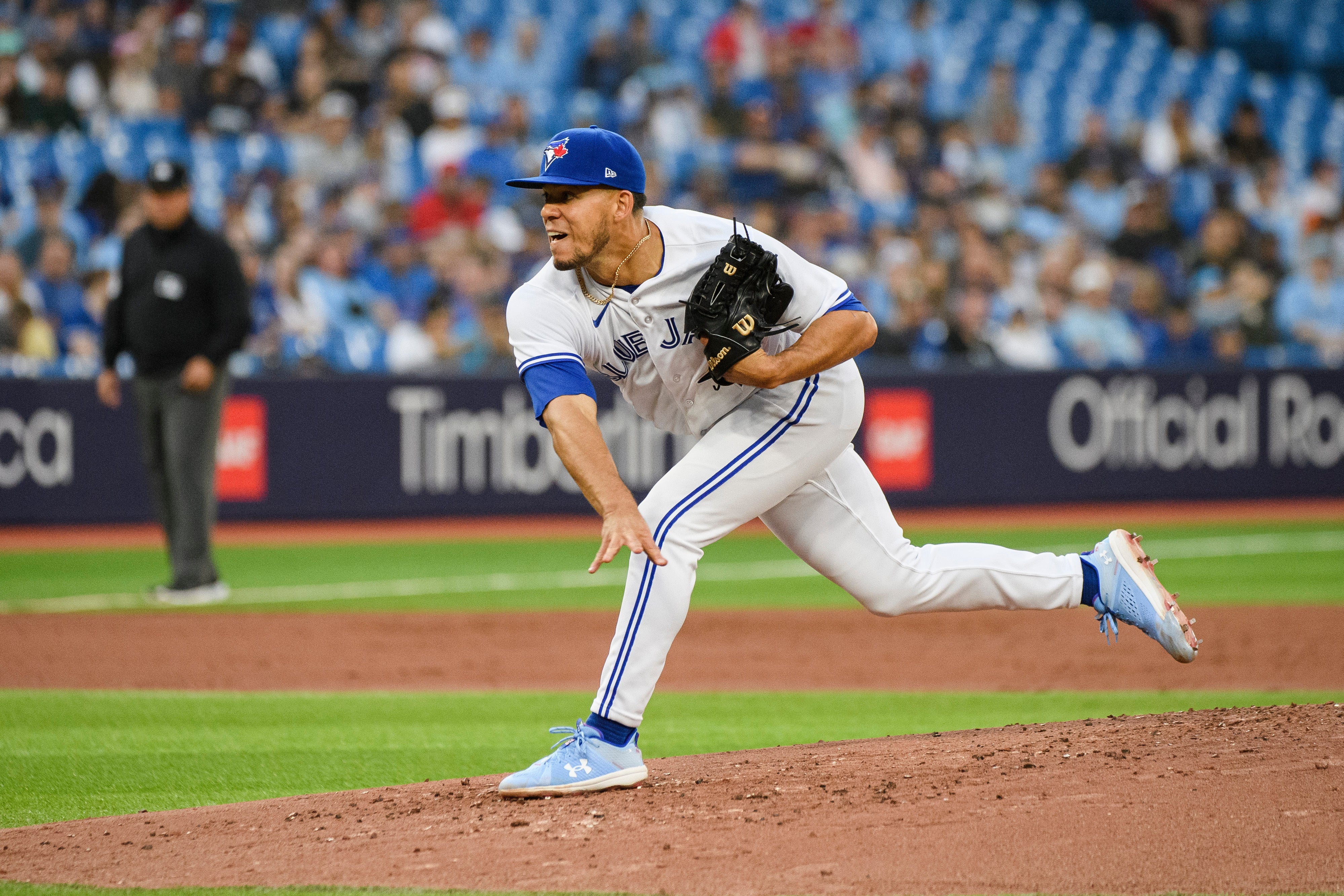 Rays Blue Jays Baseball