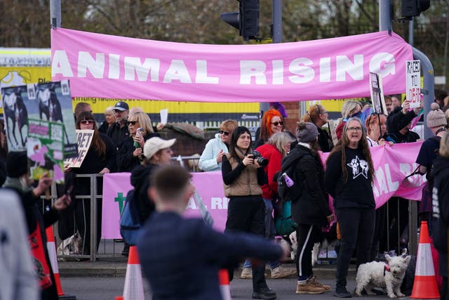 Animal Rising activists outside the gates ahead of day three of the Randox Grand National Festival at Aintree Racecourse, Liverpool (Peter Byrne/PA)