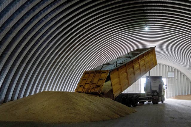 Poland Ukraine Grain
