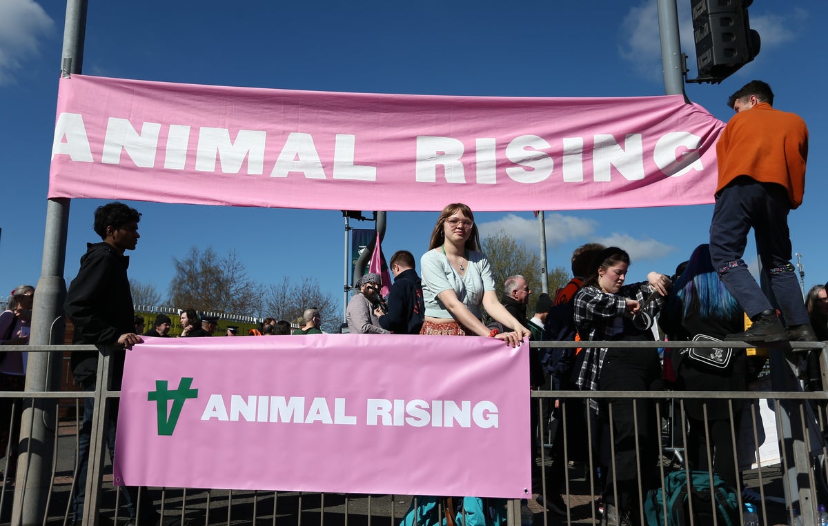 Grand National 2023 delayed after animal rights protestors breach Aintree course