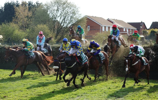 <p>The field size and height of one of the fences have been reduced to help make this year’s Grand National safer </p>