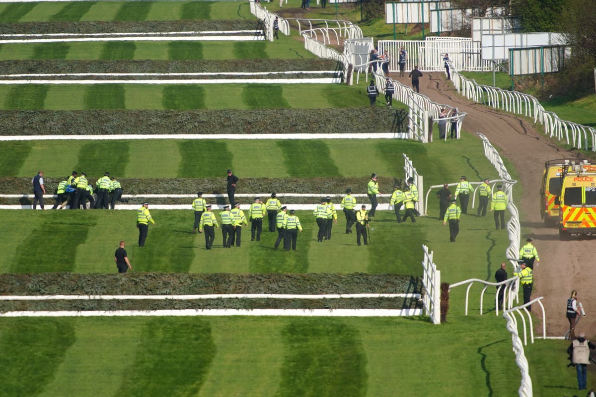 nine-protestors-arrested-after-accessing-aintree-observe