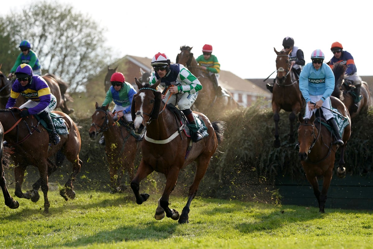 Campaigners call for jump racing ban after three horses die at Aintree