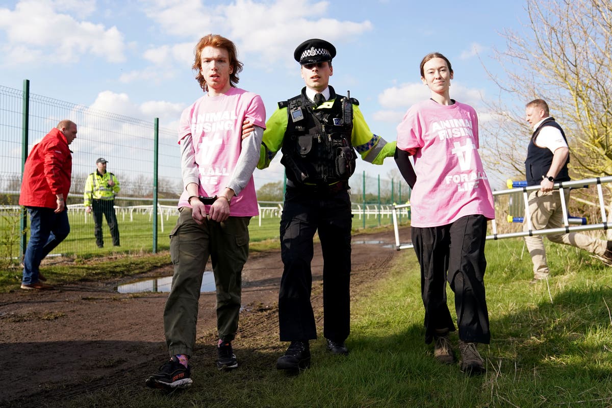 Actions of Grand National protestors branded ‘reckless’ by Aintree ...