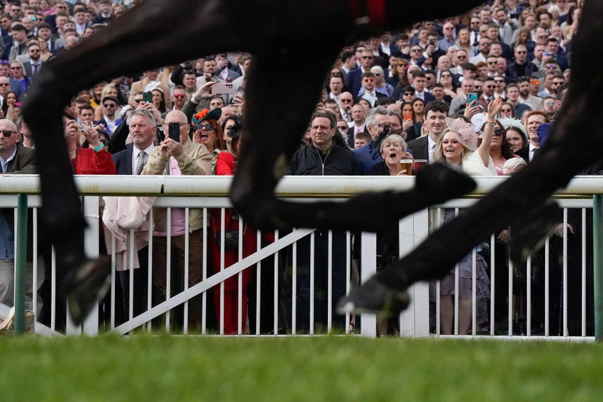 Horses were put down at the Grand National – but calls to end it are fanciful