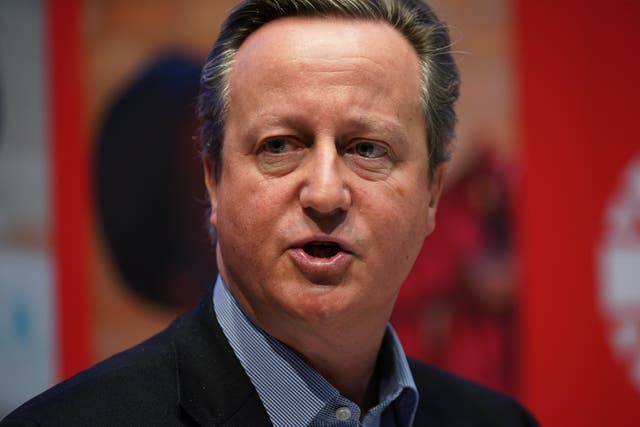 <p>David Cameron is chair of the NCS Board of Patrons </p>