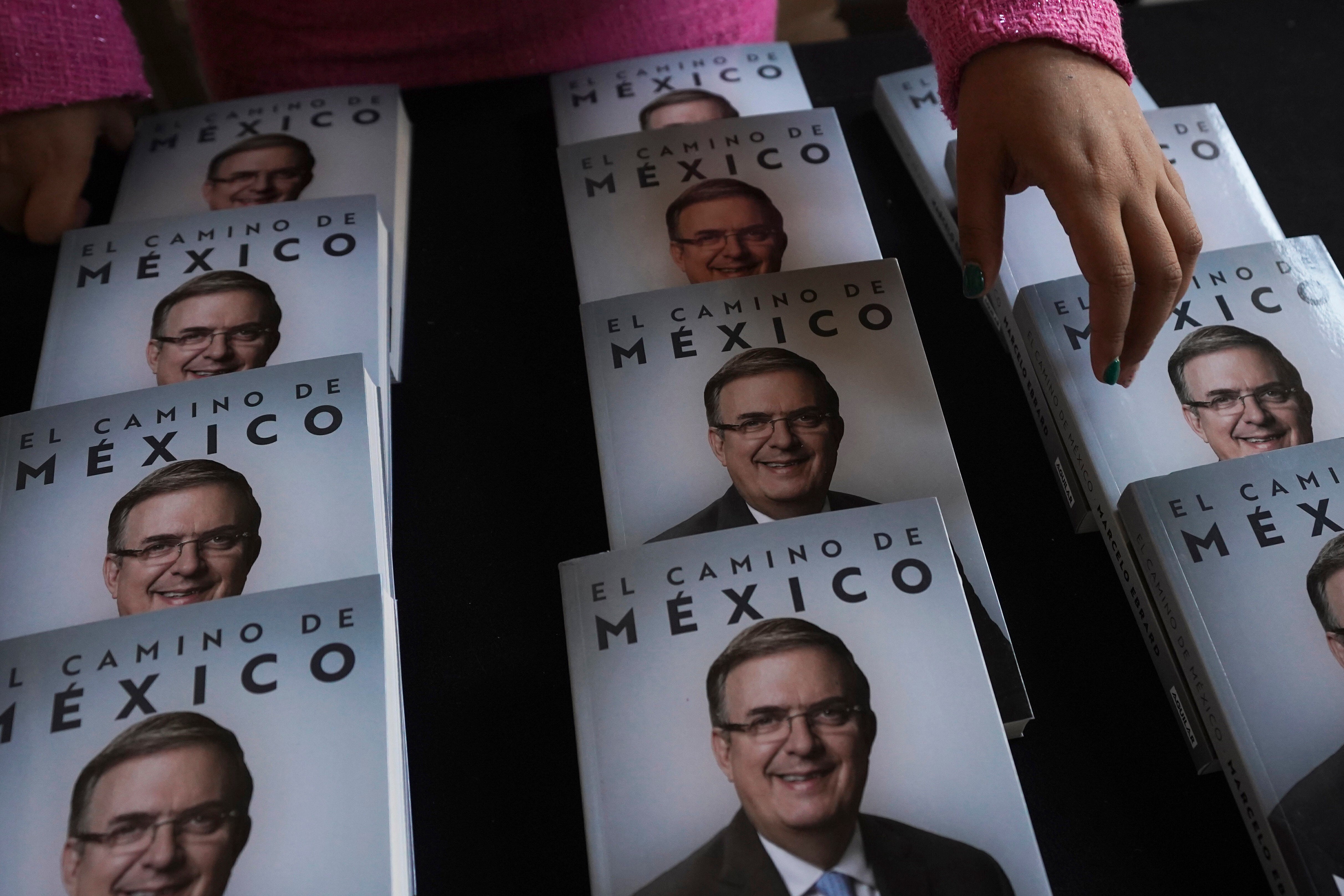 Mexico Elections Foreign Secretary