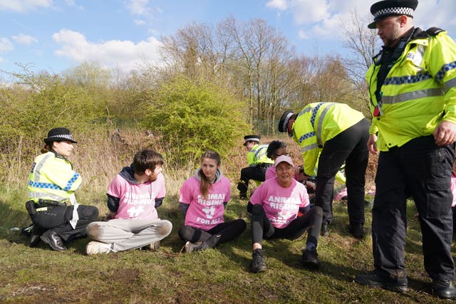 Protesters detained by police during the Grand National Festival (Tim Goode/PA)