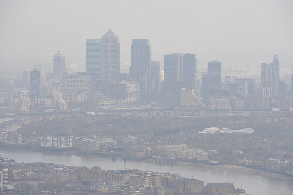 Air pollution damaging at all stages of life, research shows