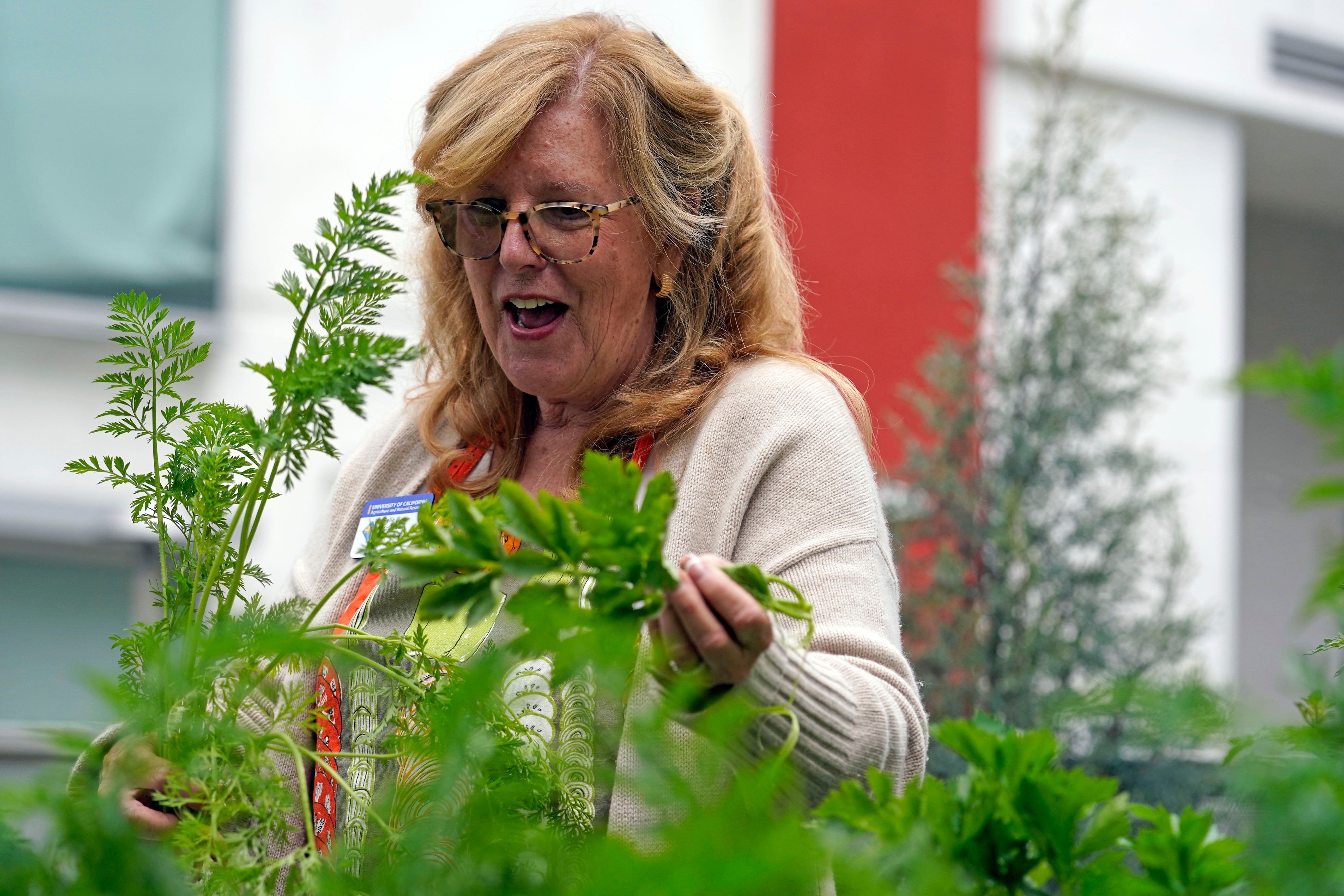 Volunteering Profiles