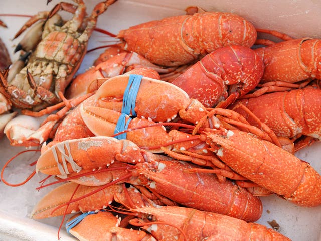 <p>There are many different ways to use lobster </p>