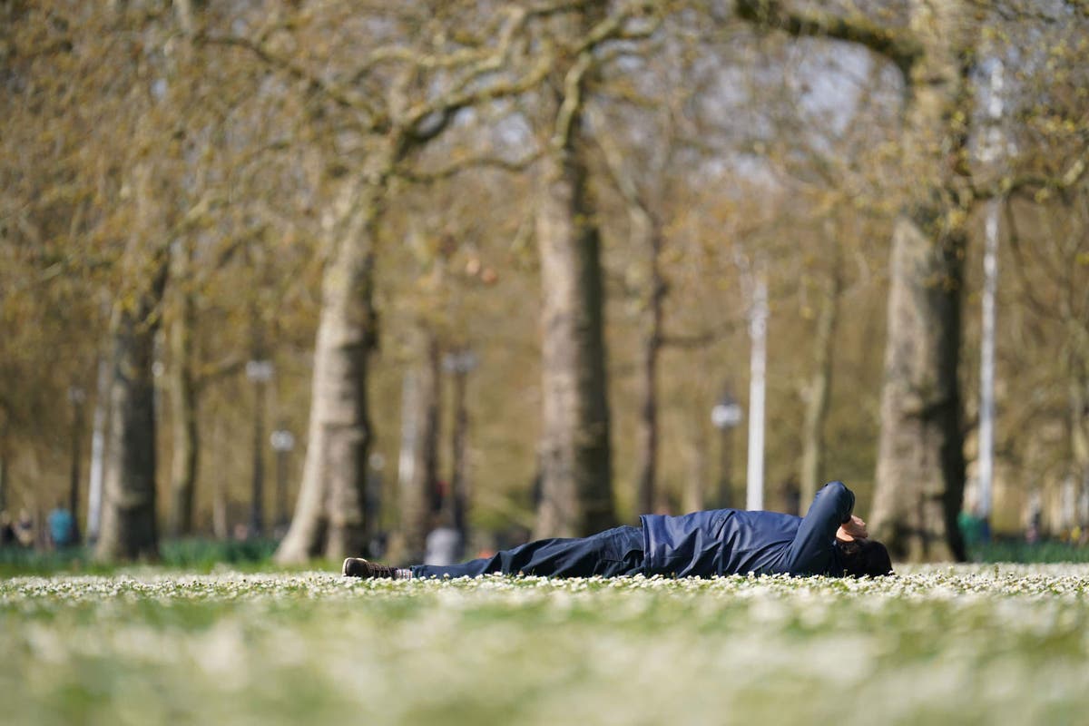 UK’s hottest temperature of 2023 so far recorded in Scottish Highlands