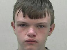 Pictured: Face of 14-year-old killer who boasted after stabbing boy to death in park