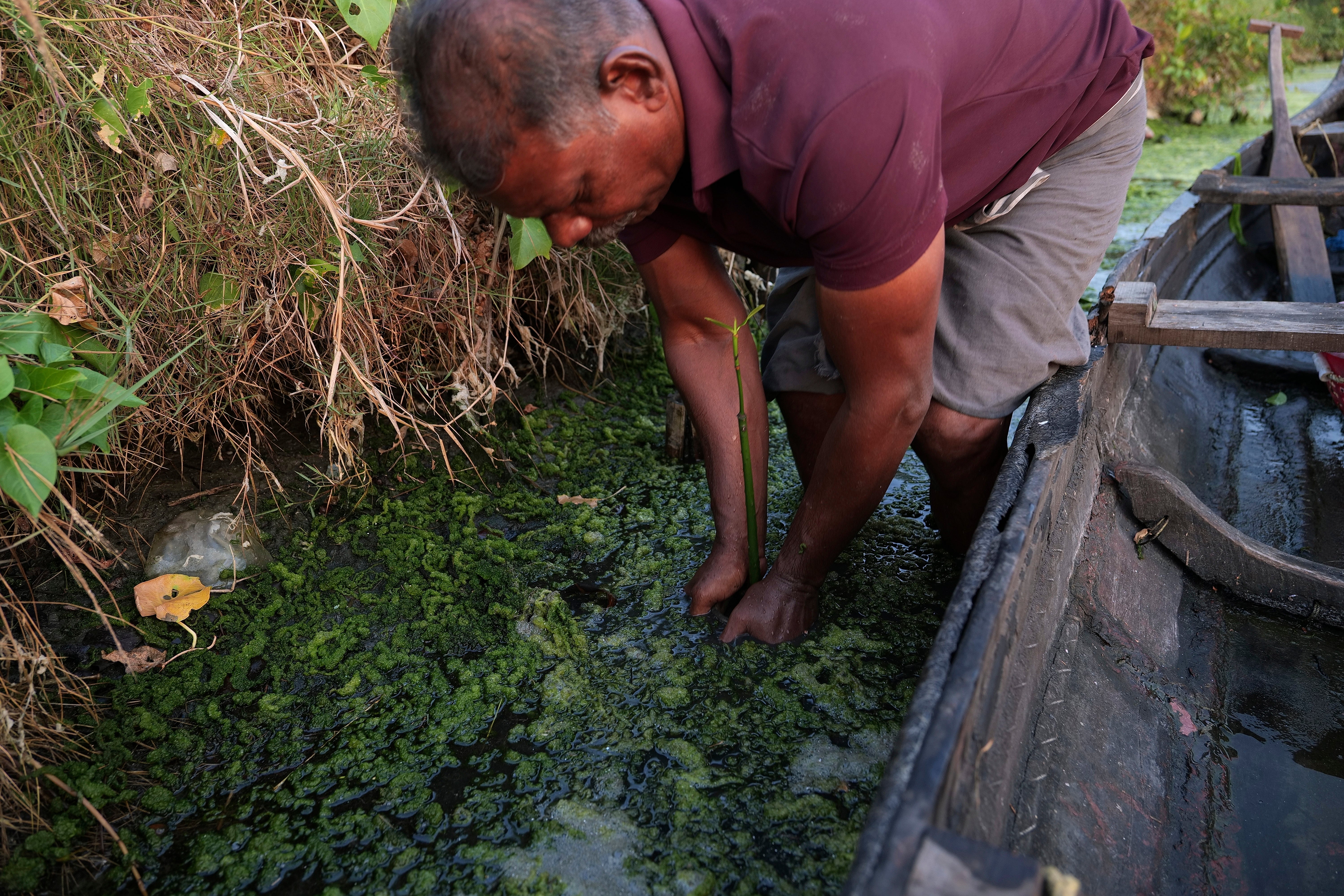 Climate India Mangrove Man