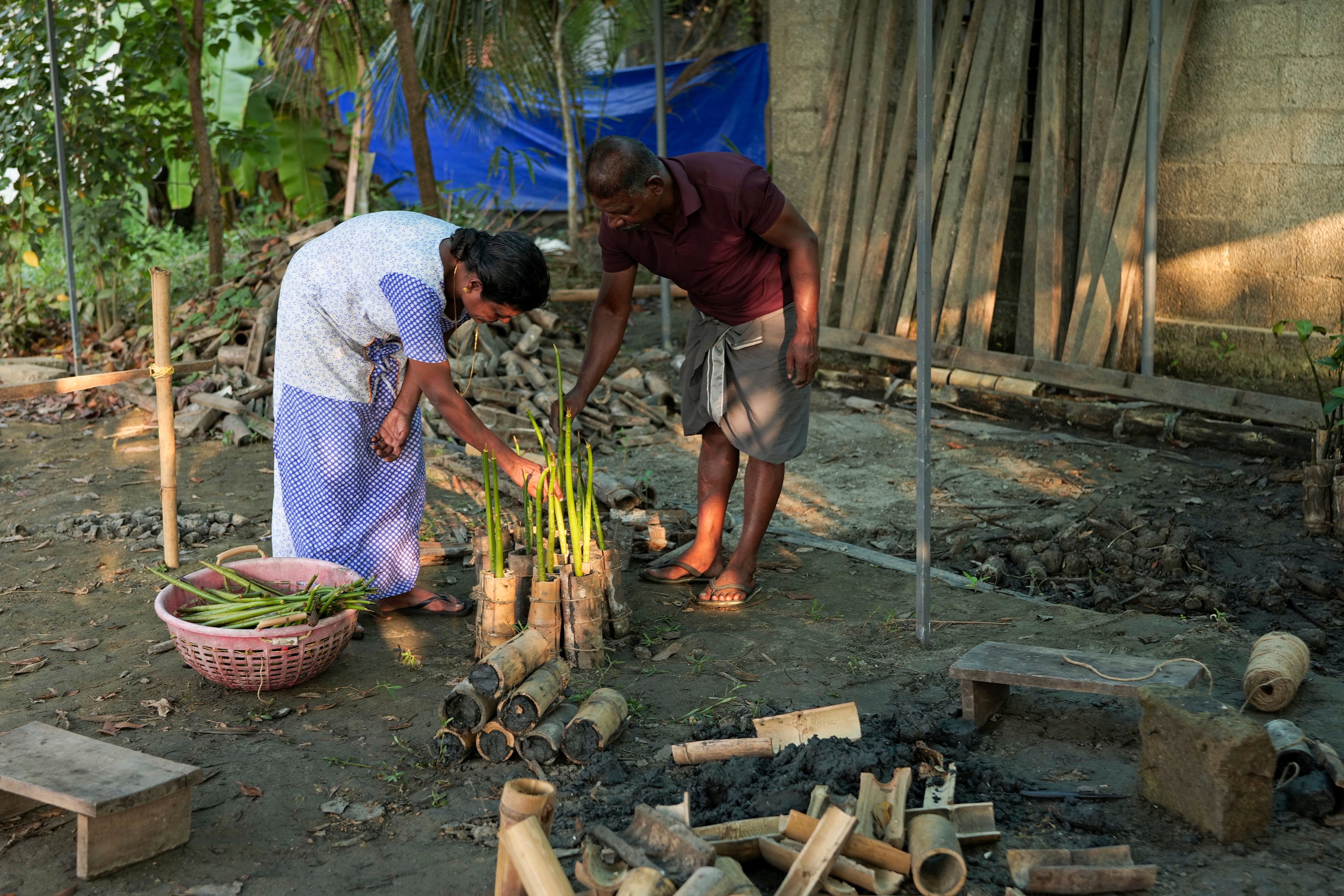 Climate India Mangrove Man
