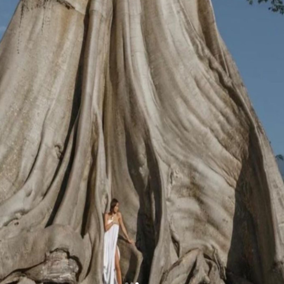 Russian woman who posed nude in front of sacred tree deported from Bali |  The Independent