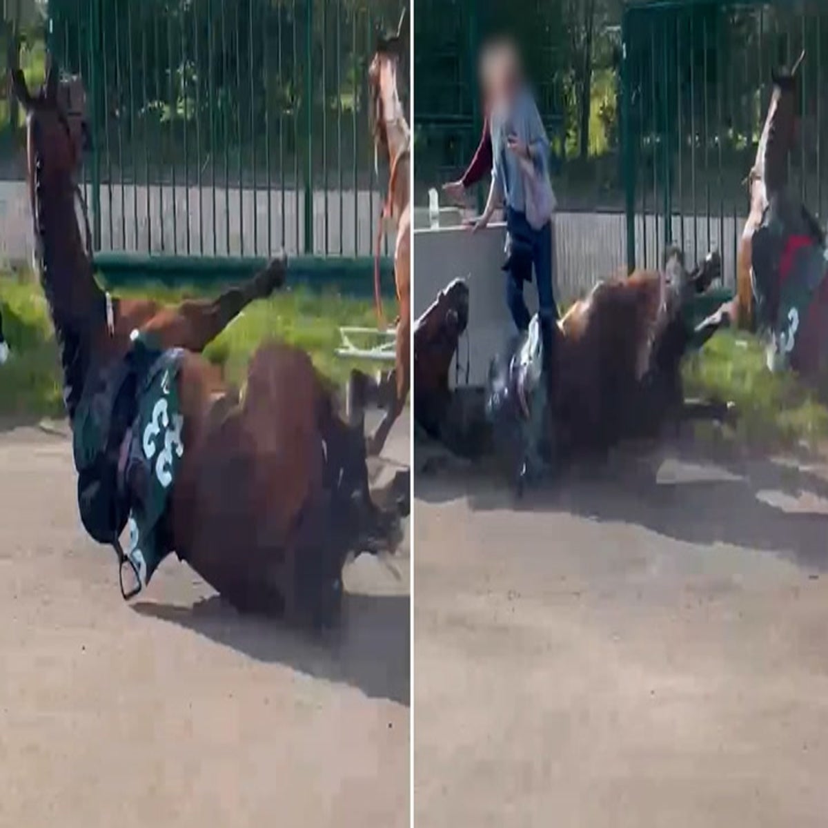 Woman crushed by two stampeding horses after they veered off course during  Grand National.mp4