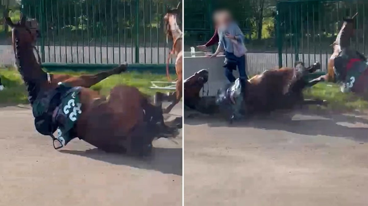Woman crushed by two stampeding horses as they veer off course during Grand National