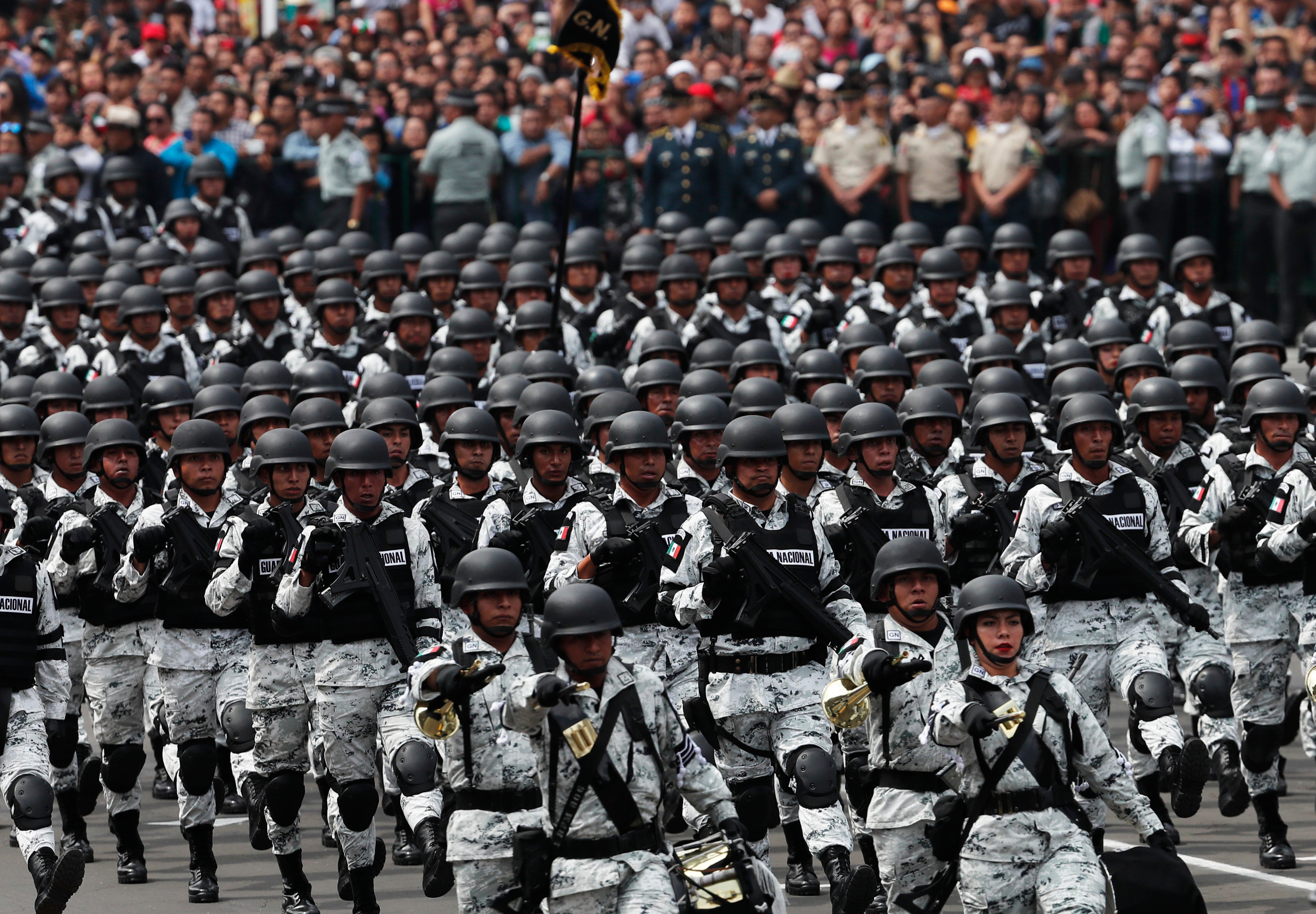 Mexico National Guard