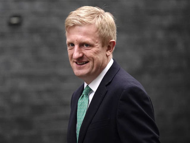 <p>Conservative party chairman Oliver Dowden </p>