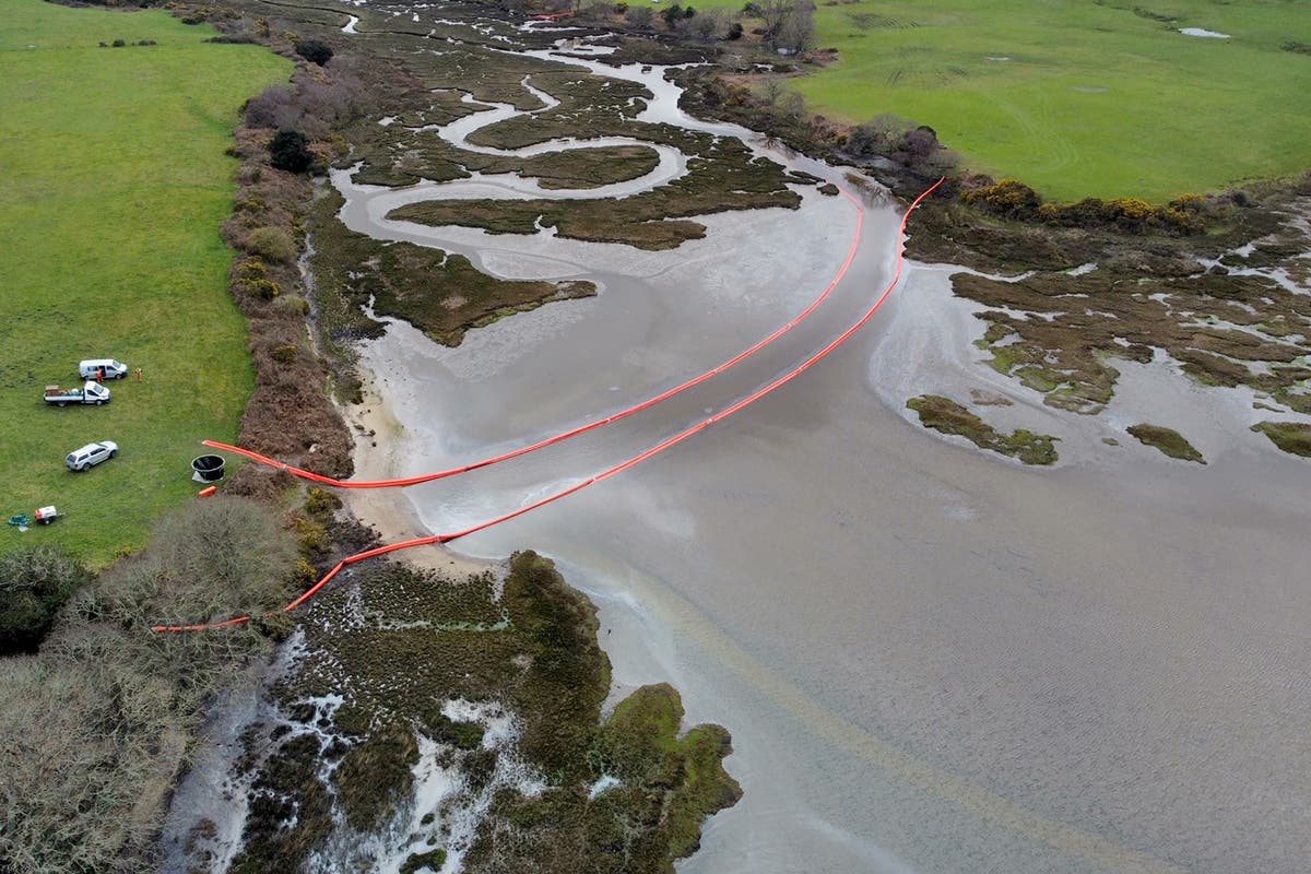 Clean-up removes 400,000 litres of oily water from Poole Harbour after spill