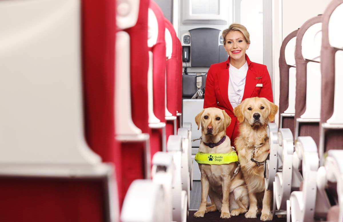 Airline crew to work with Guide Dogs to help those with a visual impairment