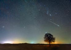 Geminids meteor shower began life in a ‘violent catastrophe’, scientists say