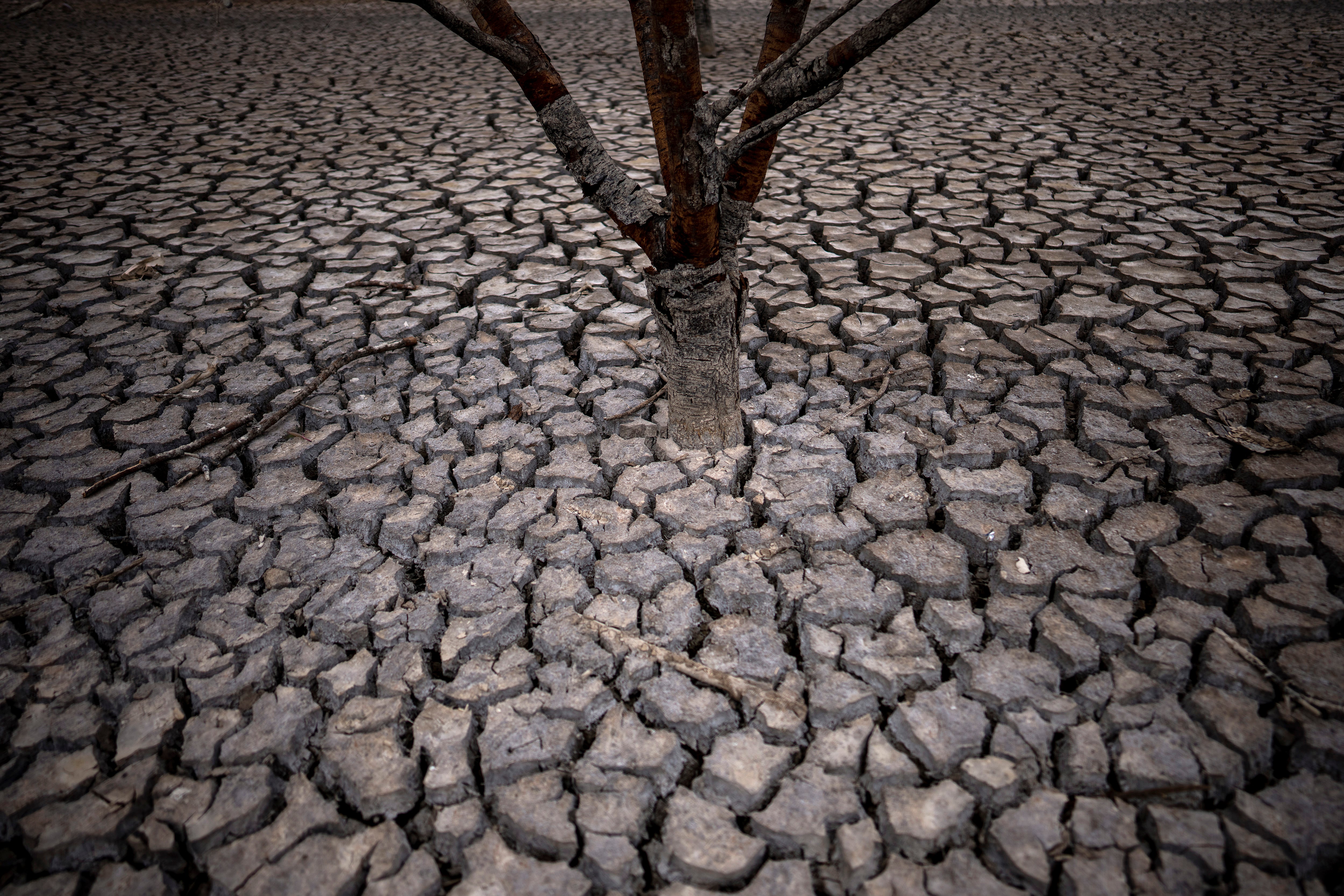 Spain Drought